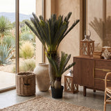 Palma artificiale Cycas - OrchideaMilano1981