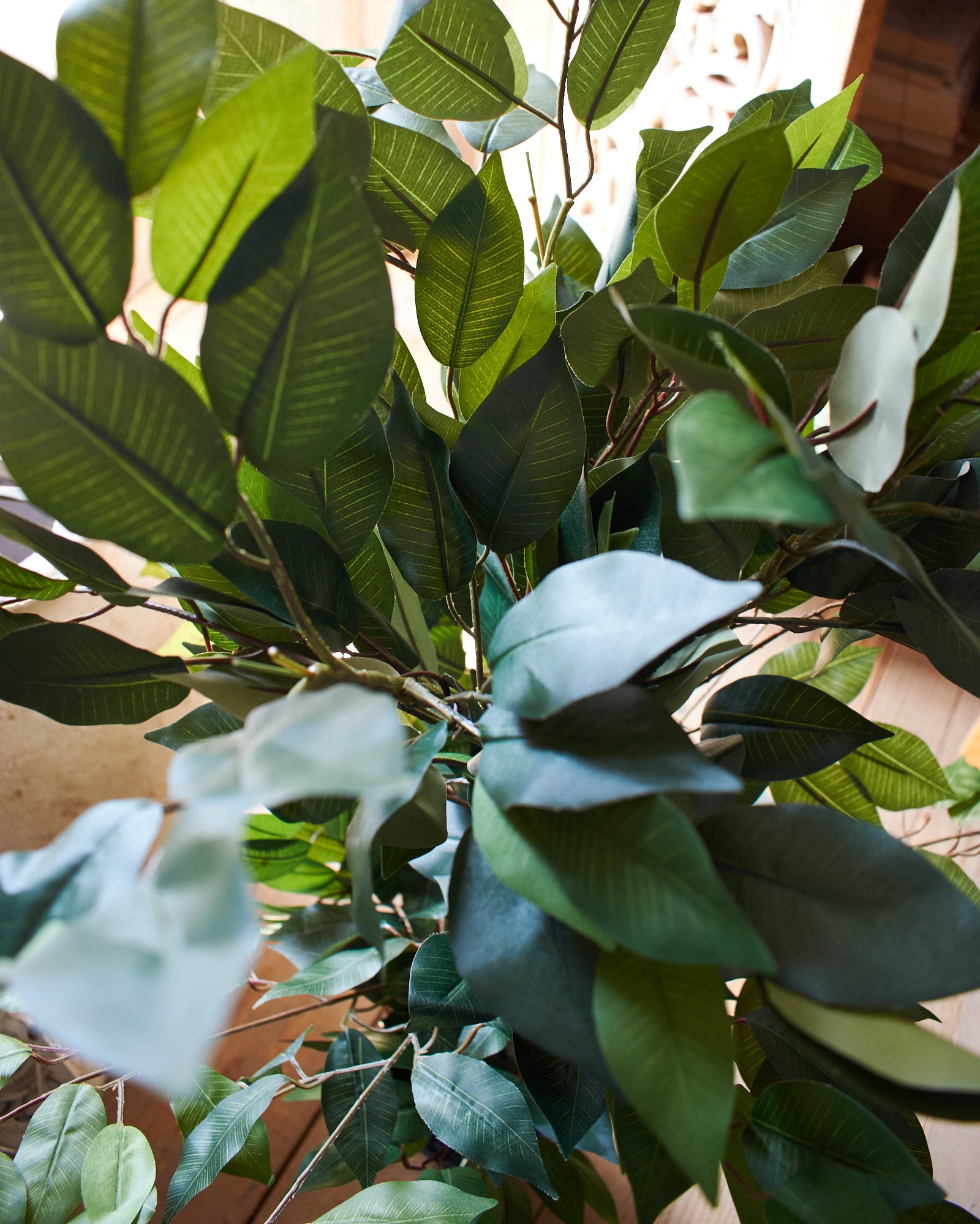 Ficus artificiale Tonga set da 2 - OrchideaMilano1981