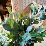 Ficus artificiale Tonga set da 2 - OrchideaMilano1981
