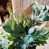 Ficus artificiale Tonga set da 2 - OrchideaMilano1981