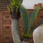 Palma artificiale Cycas - OrchideaMilano1981