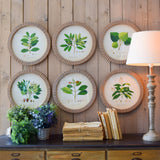 Stampe con cornice in legno Botanical set di 6 - OrchideaMilano1981