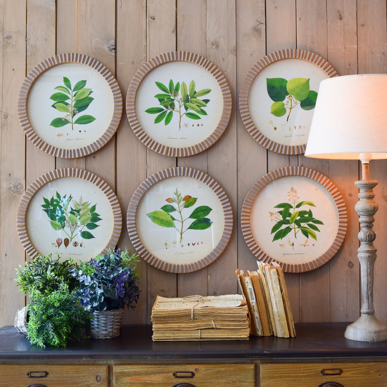 Stampe con cornice in legno Botanical set di 6 - OrchideaMilano1981