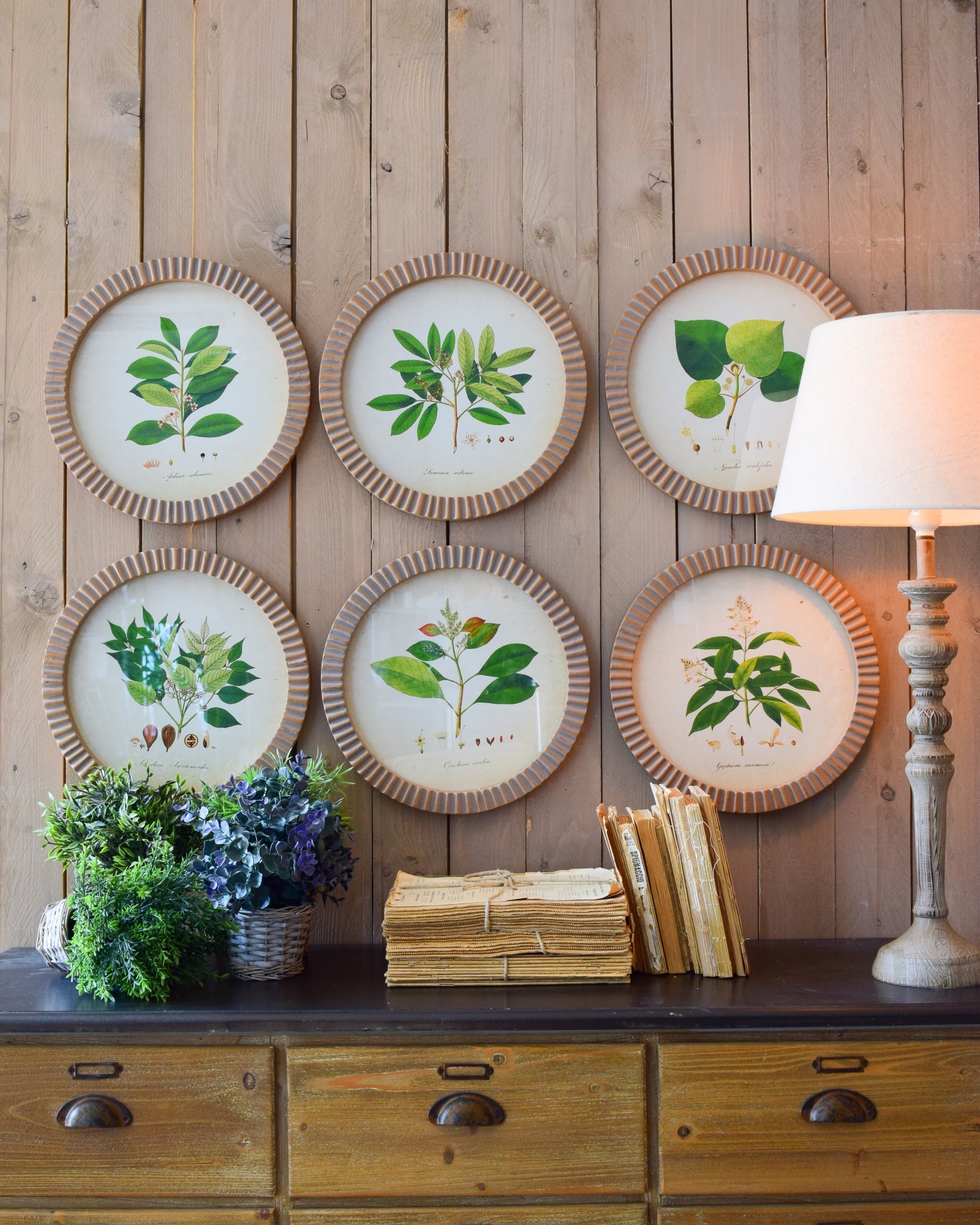 Stampe con cornice in legno Botanical set di 6 - OrchideaMilano1981