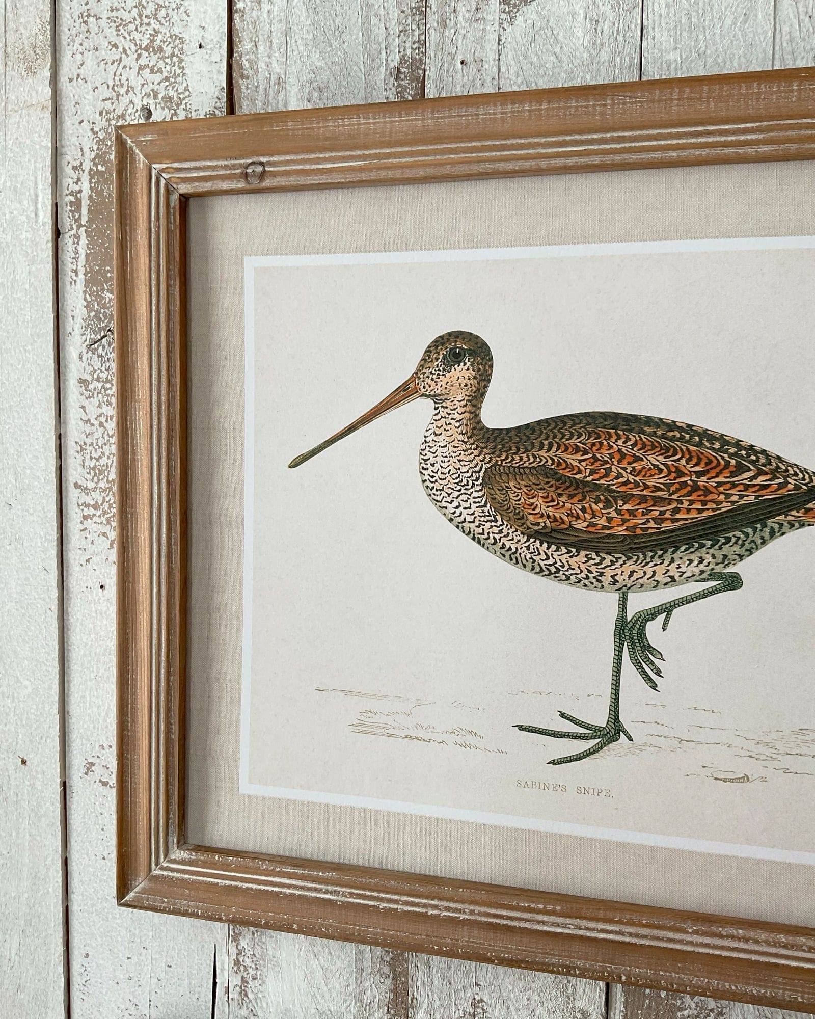Stampe con cornice in legno Country Birds set di 2 - OrchideaMilano1981