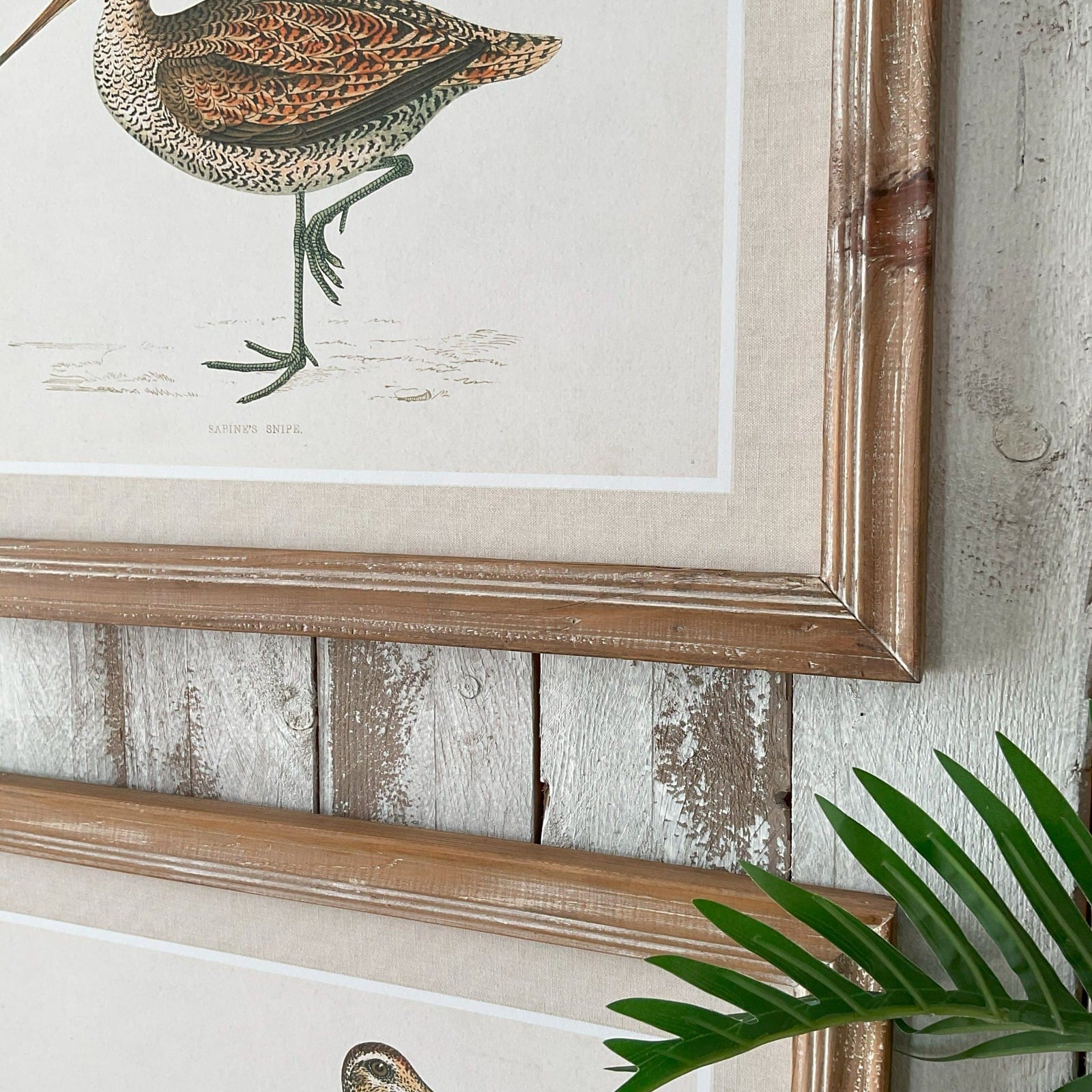 Stampe con cornice in legno Country Birds set di 2 - OrchideaMilano1981