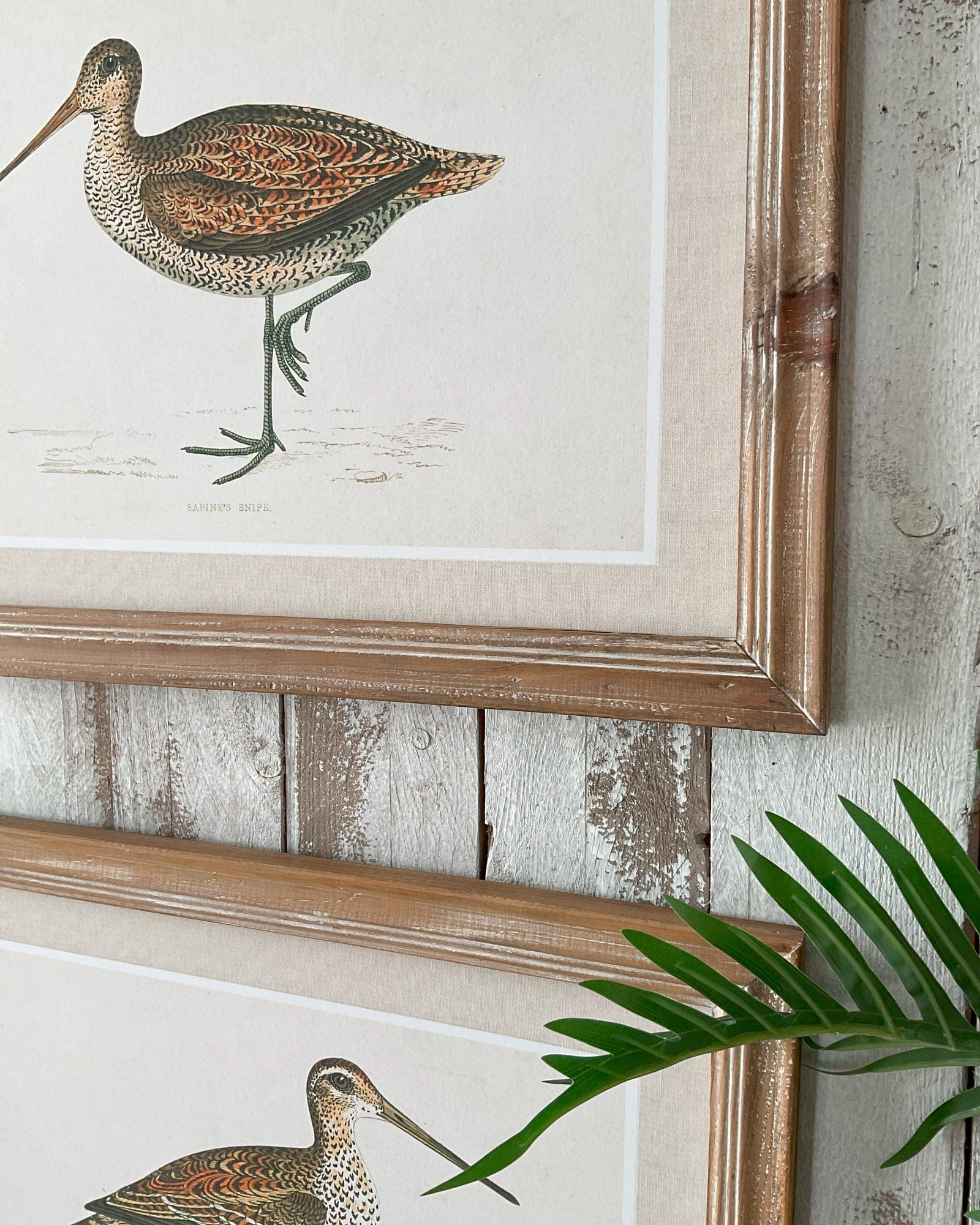 Stampe con cornice in legno Country Birds set di 2 - OrchideaMilano1981