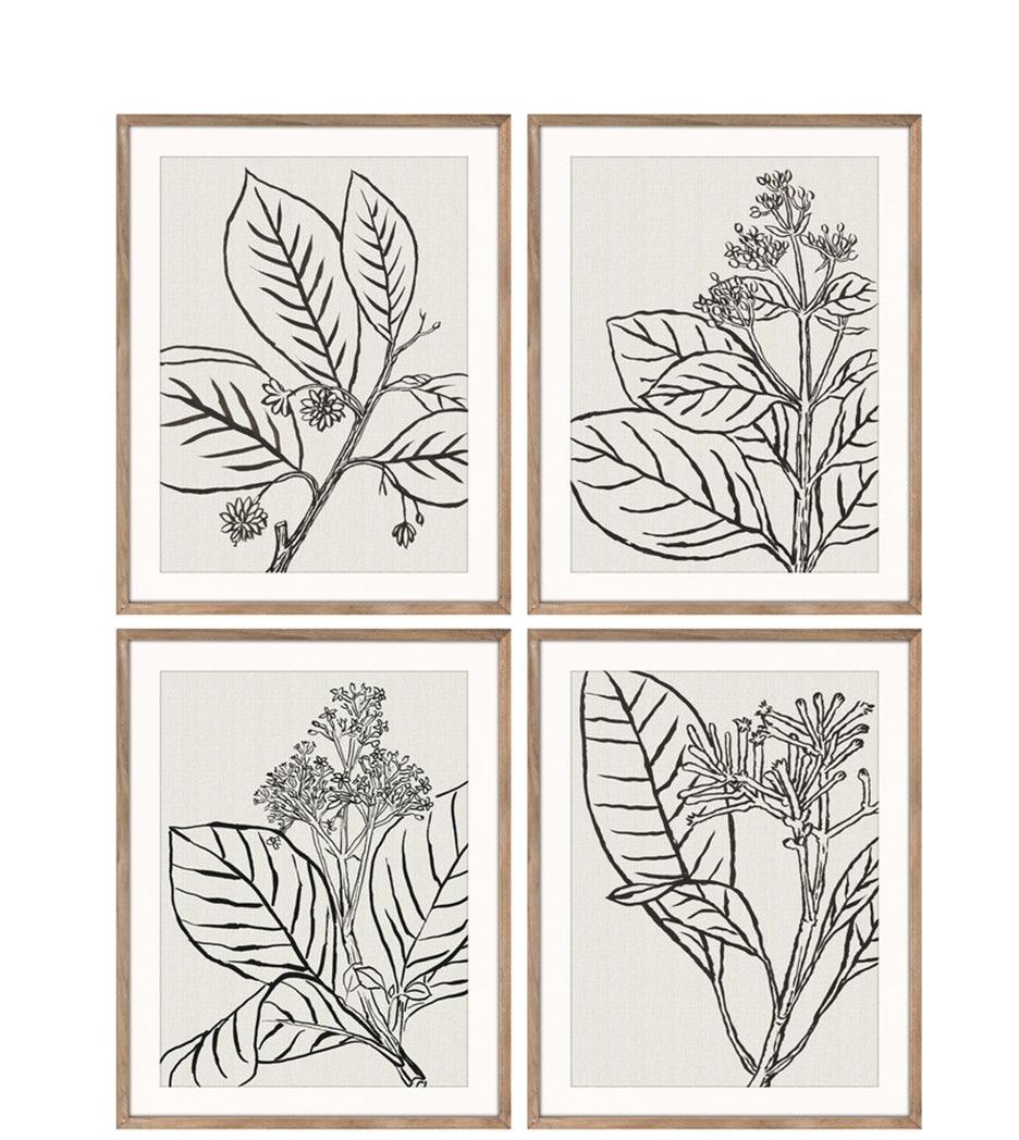 Stampe con cornice in legno Drawings set di 4 - OrchideaMilano1981