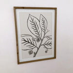 Stampe con cornice in legno Drawings set di 4 - OrchideaMilano1981