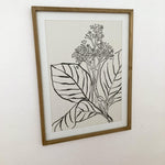 Stampe con cornice in legno Drawings set di 4 - OrchideaMilano1981
