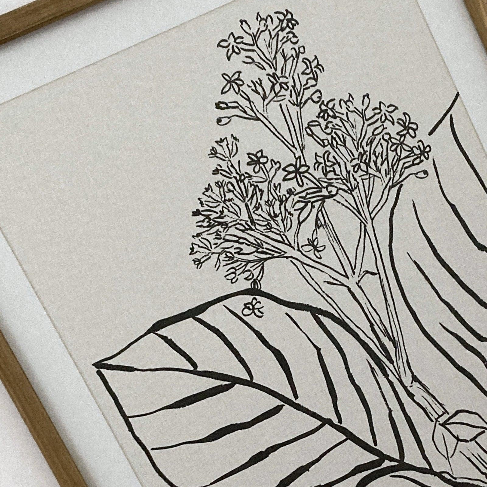 Stampe con cornice in legno Drawings set di 4 - OrchideaMilano1981