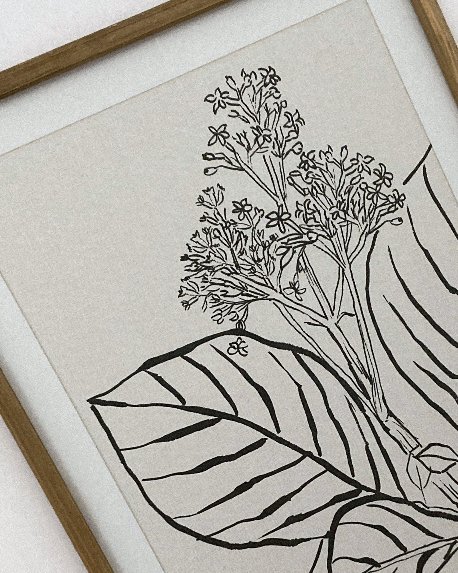 Stampe con cornice in legno Drawings set di 4 - OrchideaMilano1981